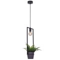 Lampa wisząca czarna z kwietnikiem z serii ESTERA K-4038 Kaja Lighting