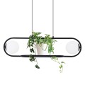 Lampa wisząca FINESTRA szklane klosze, funkcja kwietnika K-4961  Kaja Lighting